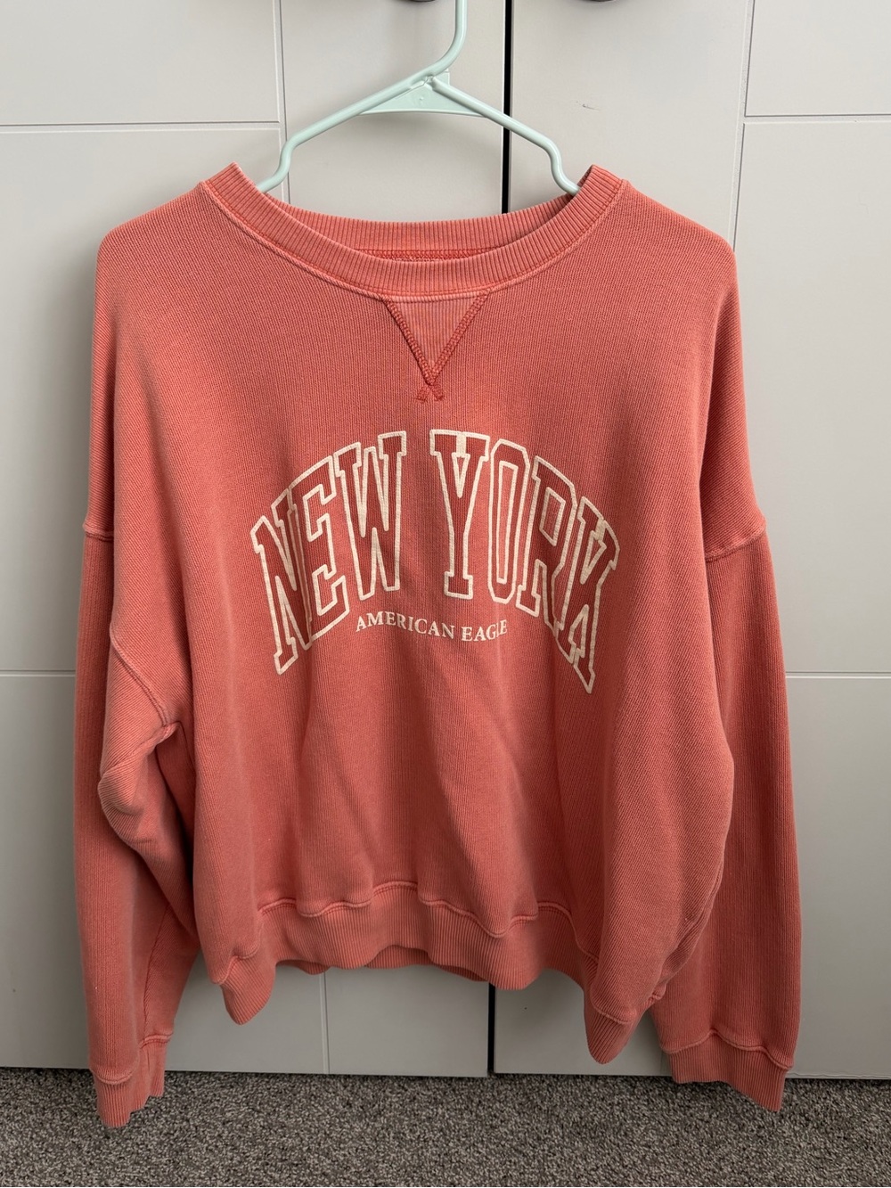 AE sweatshirt